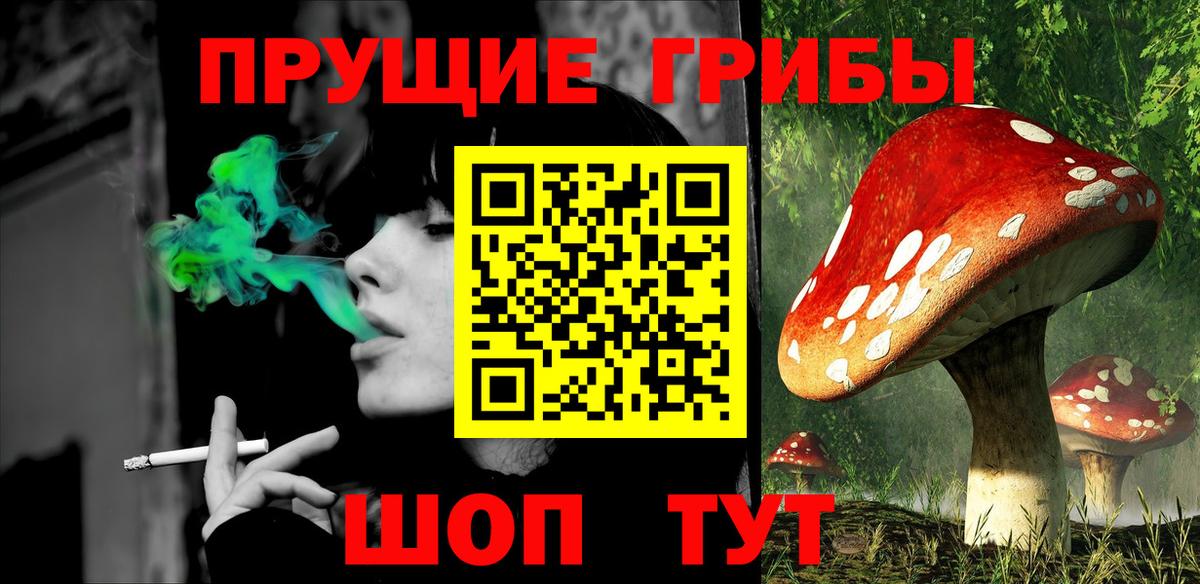 Галлюциногенные грибы Psilocybine cubensis Славгород