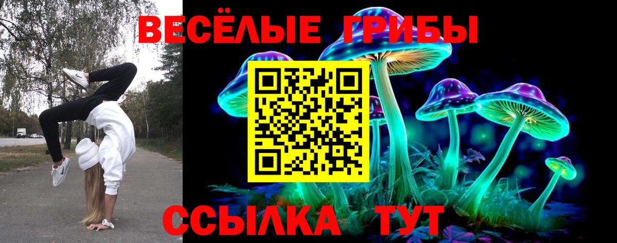 Славгород  Галлюциногенные грибы GOLDEN TEACHER  Вход с VPN 