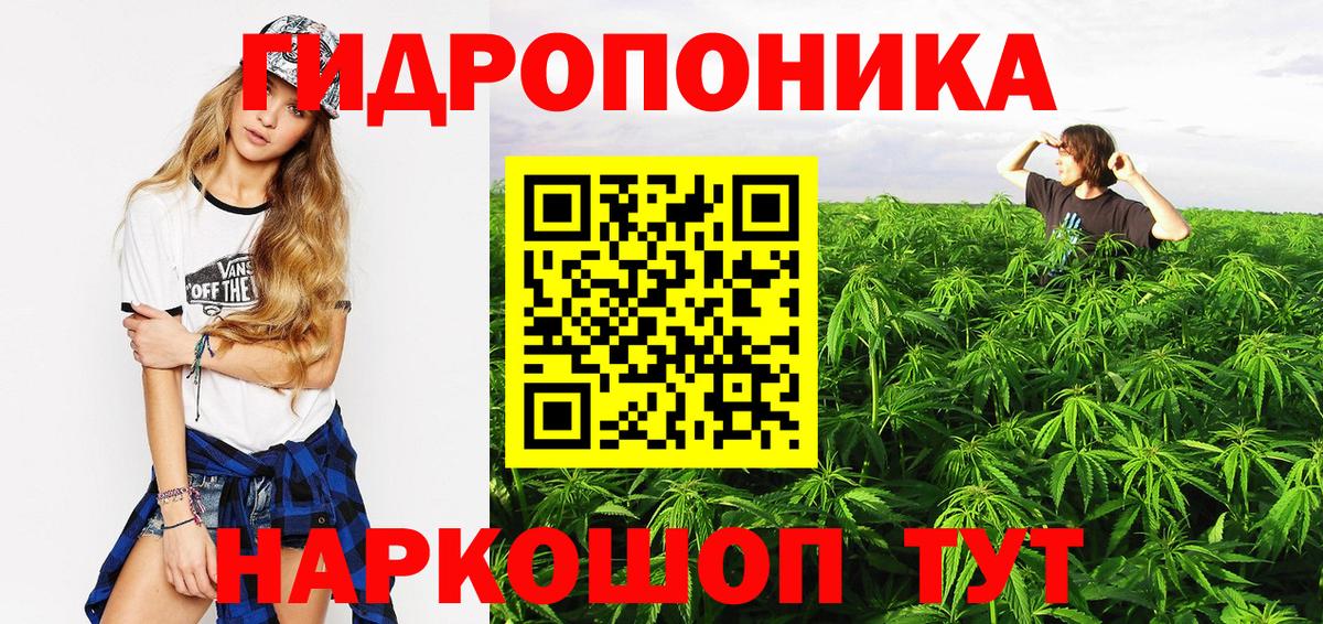 Конопля марихуана Славгород